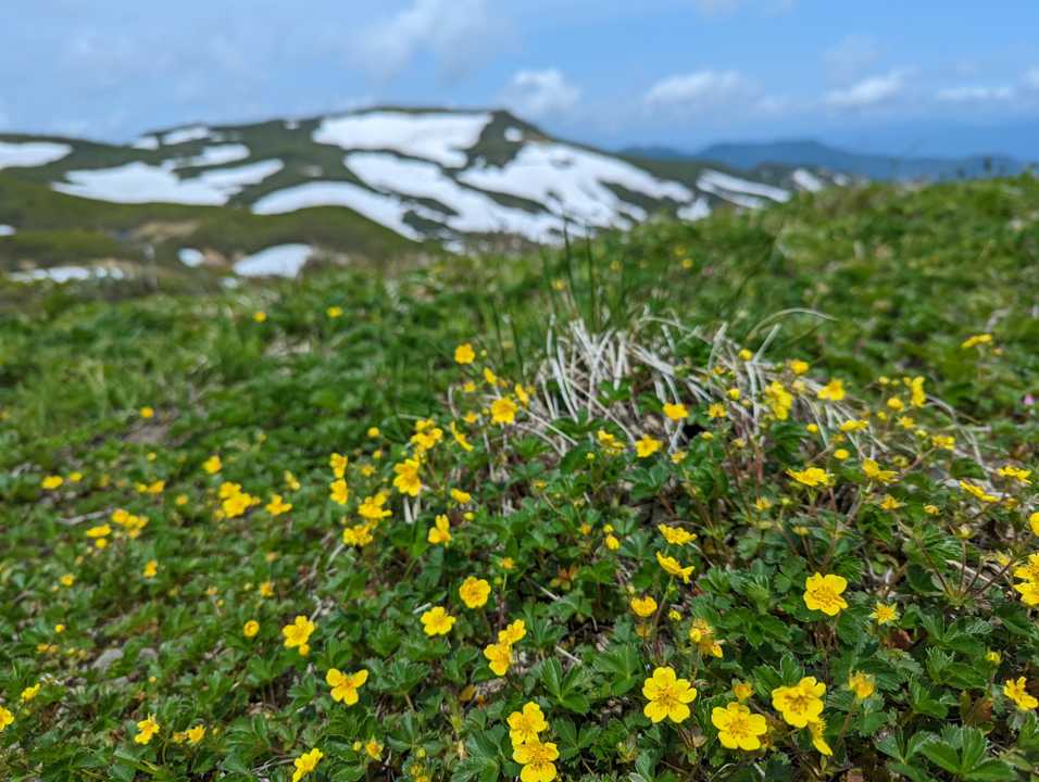 六沢山（岩手・1470m）| 登山ルート・天気 | YAMAP / ヤマップ