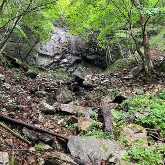 樹林帯のつづら折りを登っていくと、滝💦