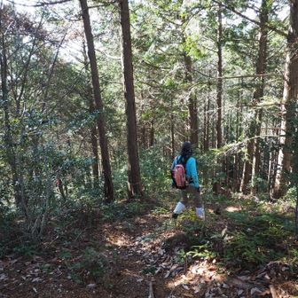 更に降りていきます