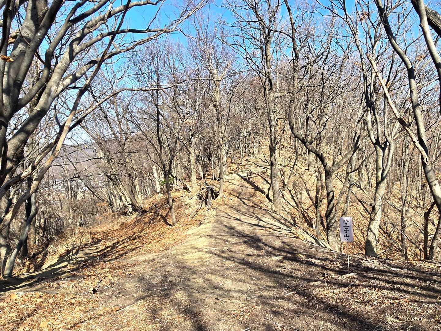 この先、八王子山⛰️