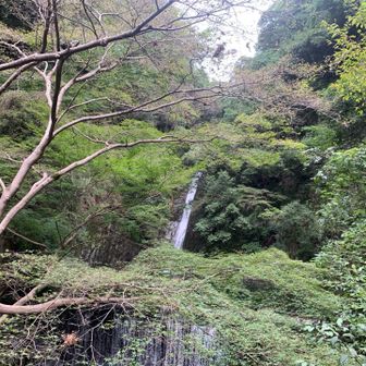 まずは 雌滝！