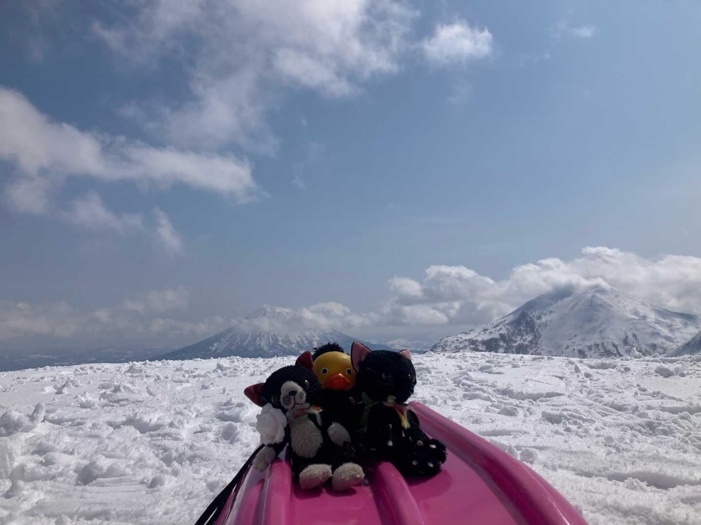 📸に✌️