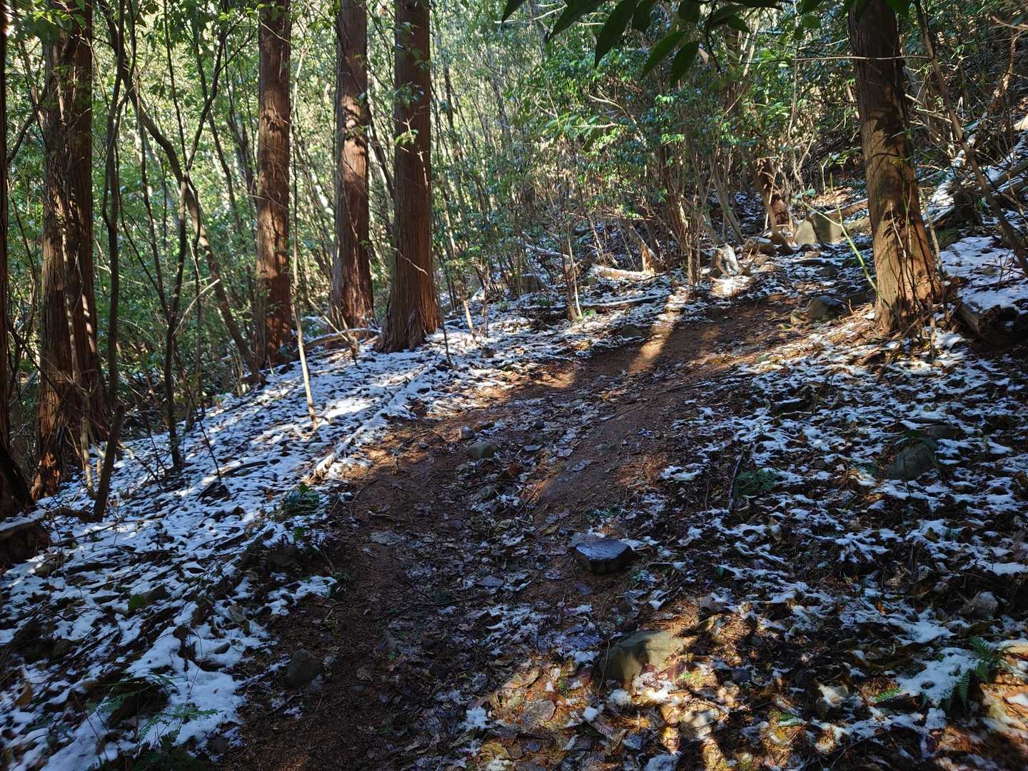 御許山 往復コースの写真