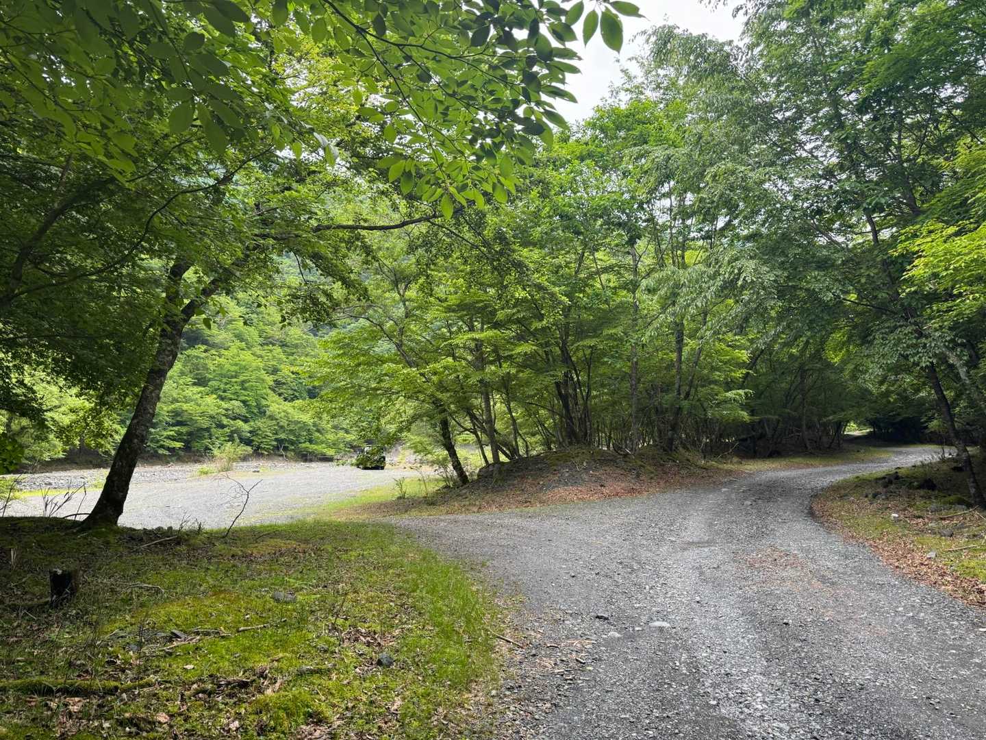 無事に駐車場に到着しました。

Googleナビは全然違う場所に
案内してくださいました。
ここの分岐を左手に行くと
西日陰沢駐車場があります👈

森の美しい良き山でした✨