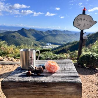 貸切🍊休憩☕︎
このどんぐり🌰達は、たくさんお山に〜