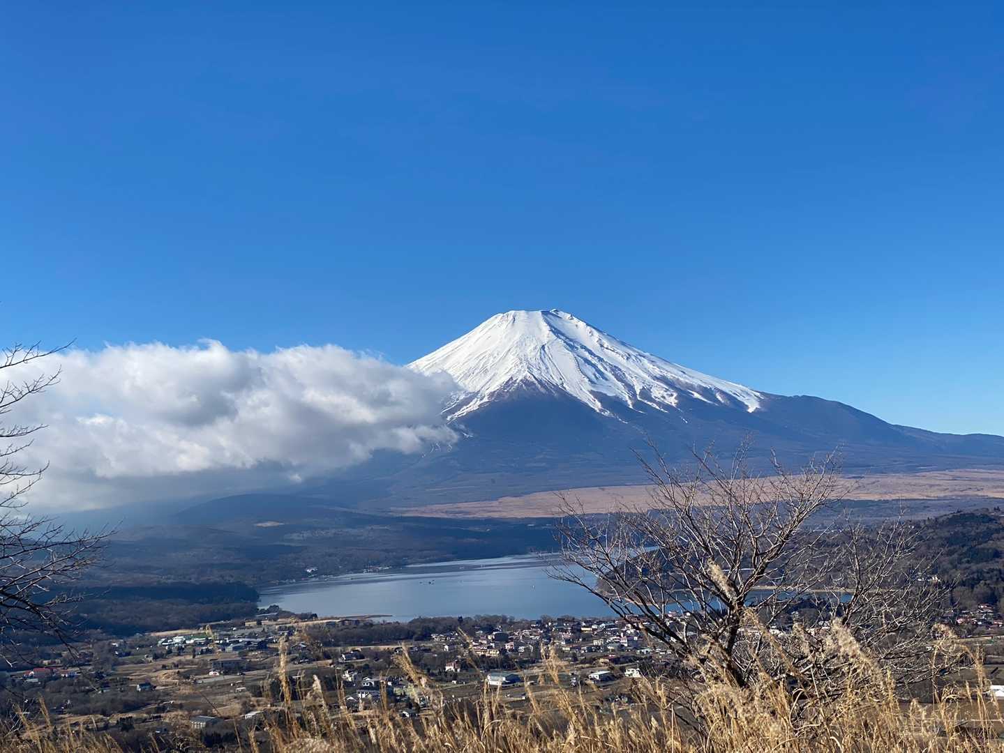 素敵❤️