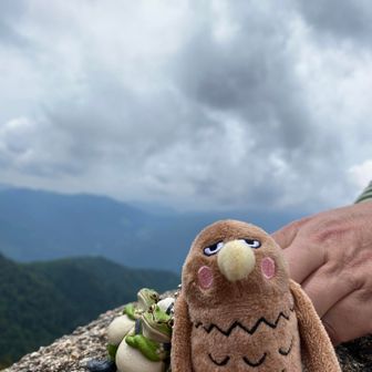 摩利支天の大岩は一番怖い
結局乗れなかった