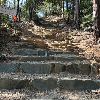階段を登って多峯主山へ。