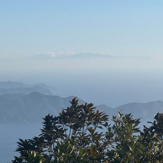 遠くに宮之浦が見えて大はしゃぎ😆
今年こそ行くからねー🛳️
