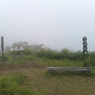 山頂はガスガス。15分くらいいましたが、晴れ間は出ず・・。その代わりに、山頂は「貸し切り」でした。