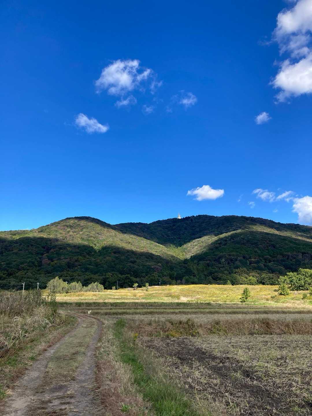 日が当たって宝篋山が縞々に。