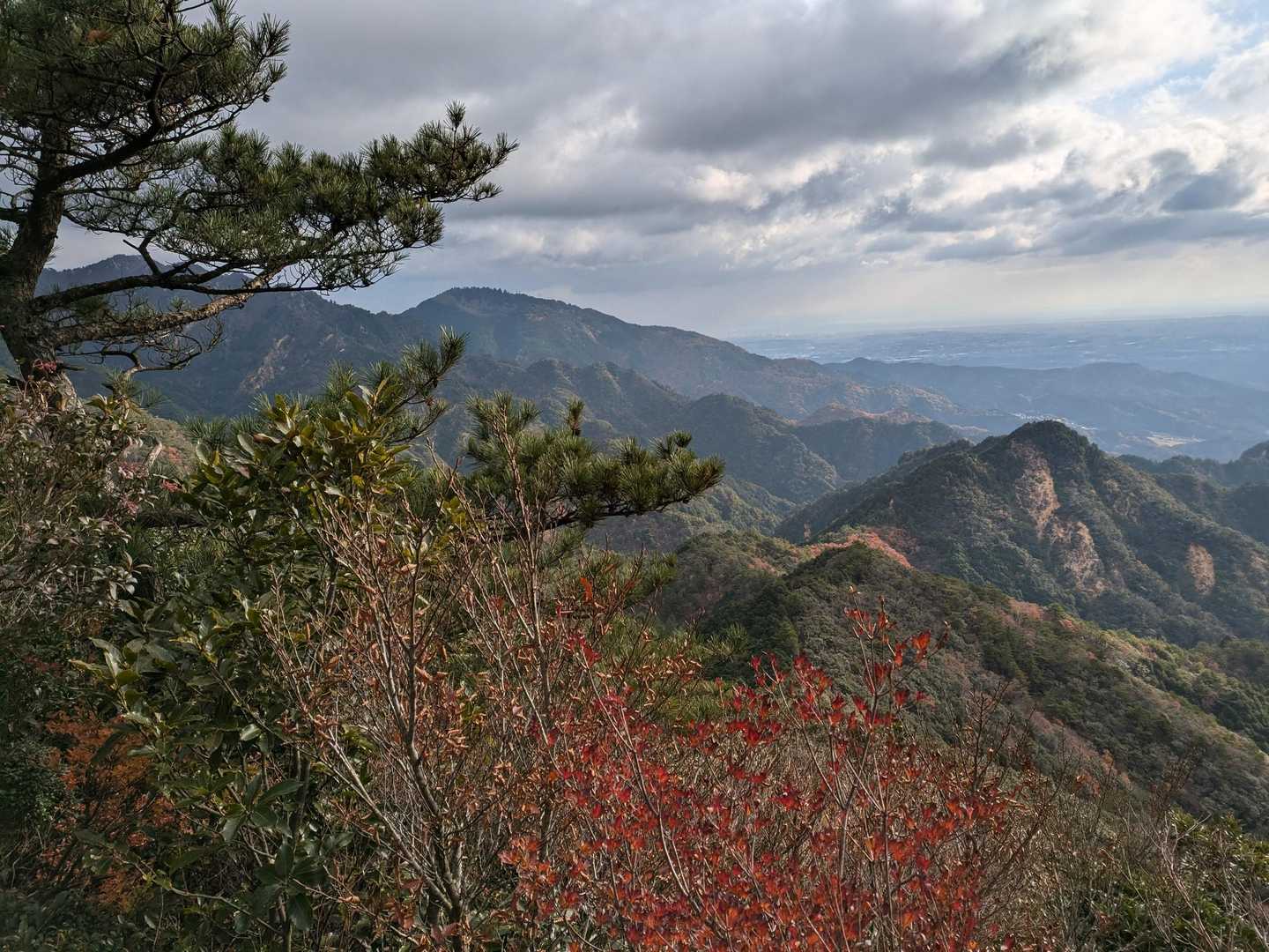 仙ヶ岳と野登山、臼杵山