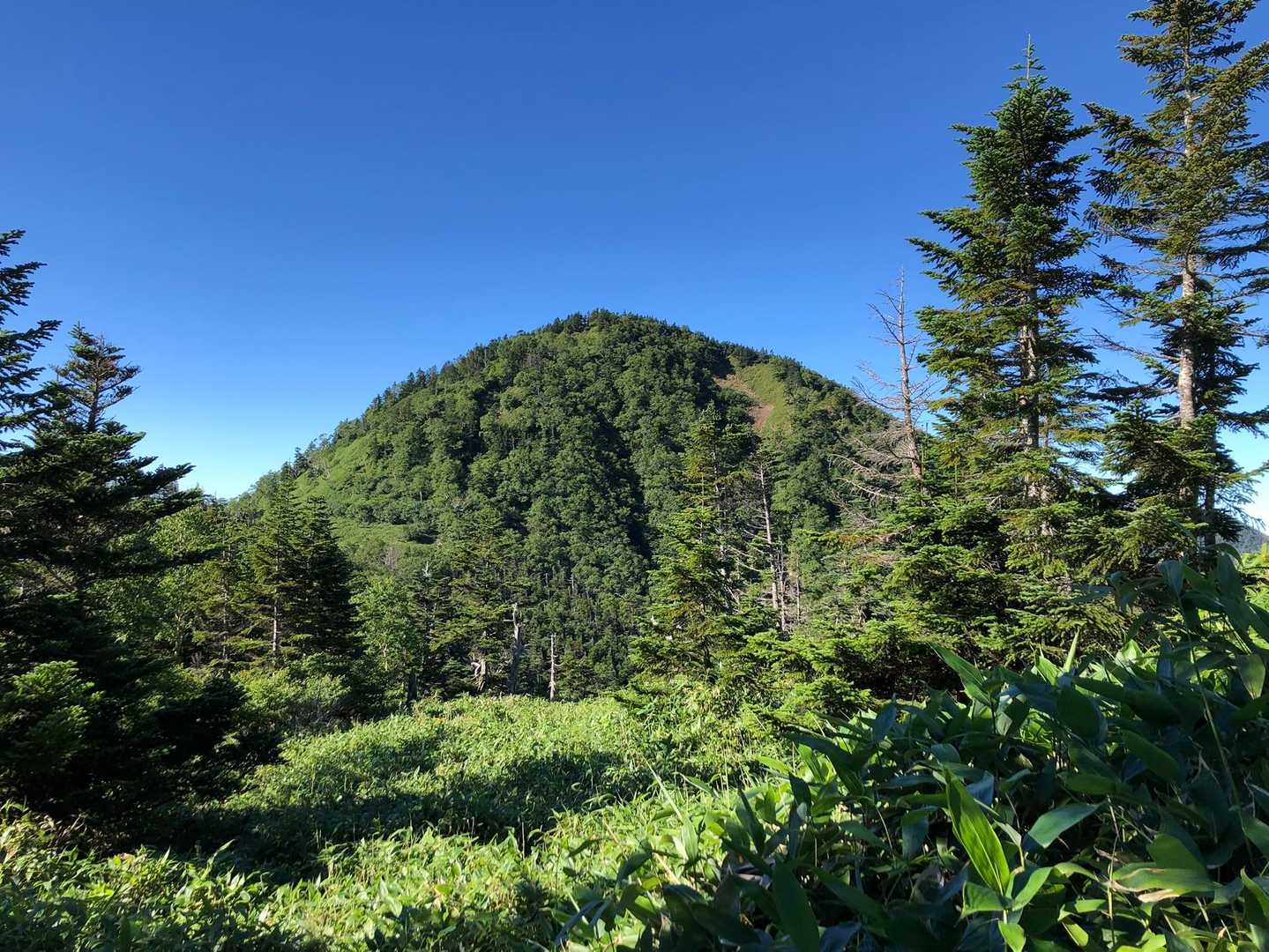 先程登った温泉ヶ岳。なかなか淡麗なる姿です。