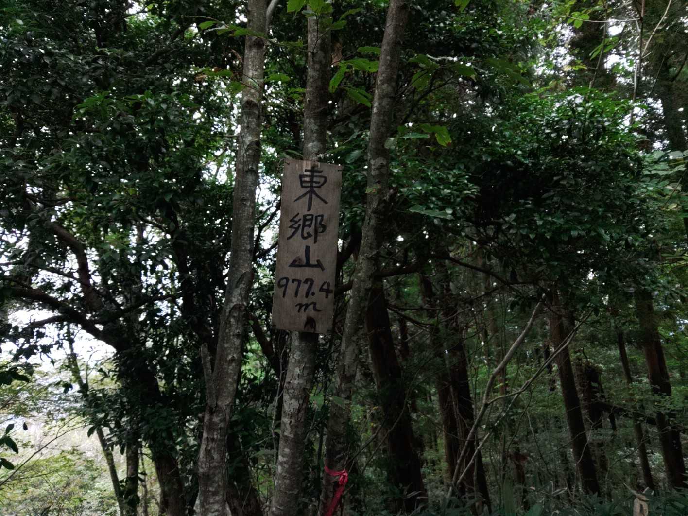 いきなり到着