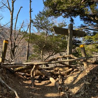 分岐点にバリケード🚧
破線ルートに軽い気持ちで入らない方がいいですもんね。