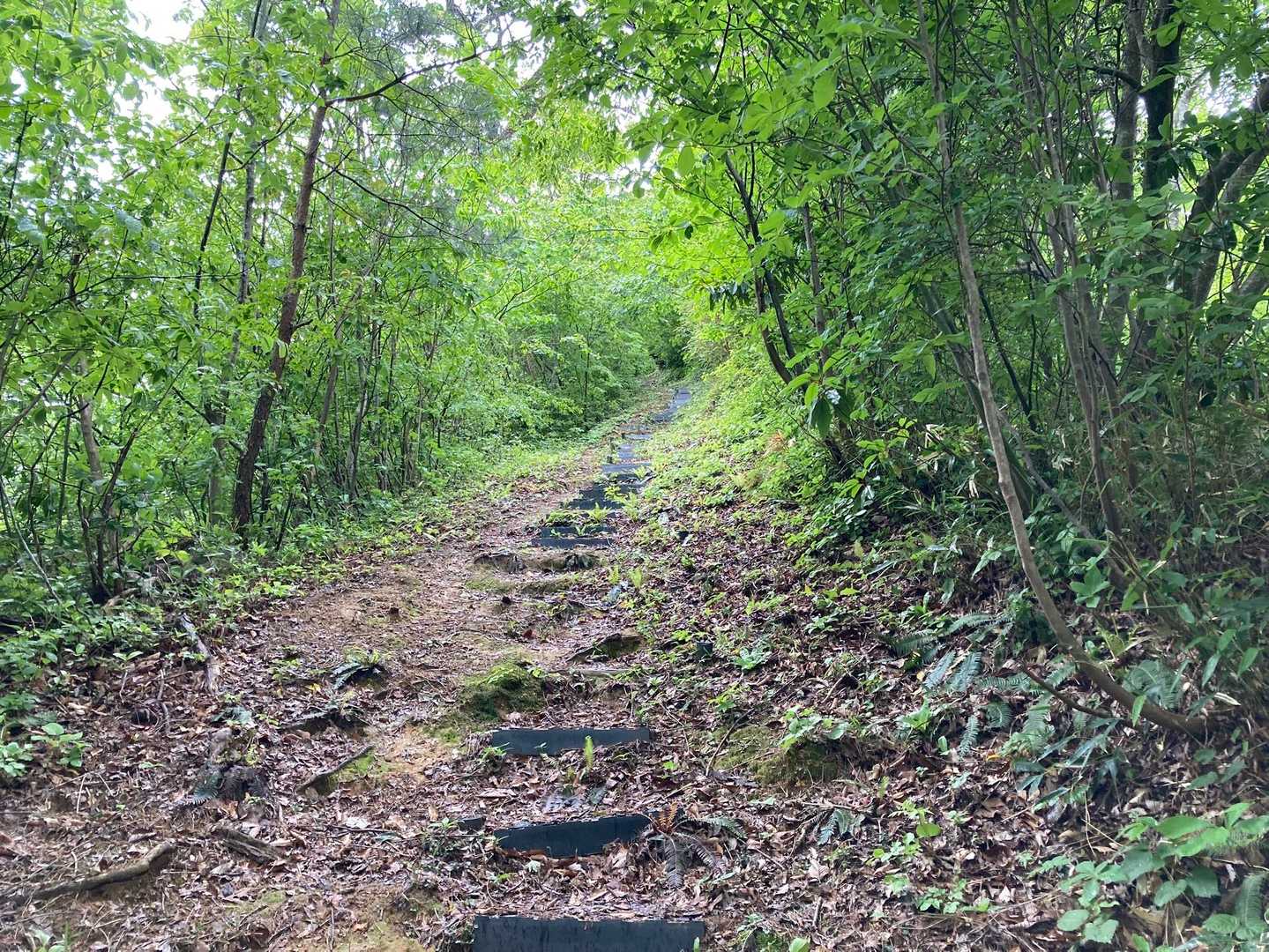 ☔️やがて 階段になり