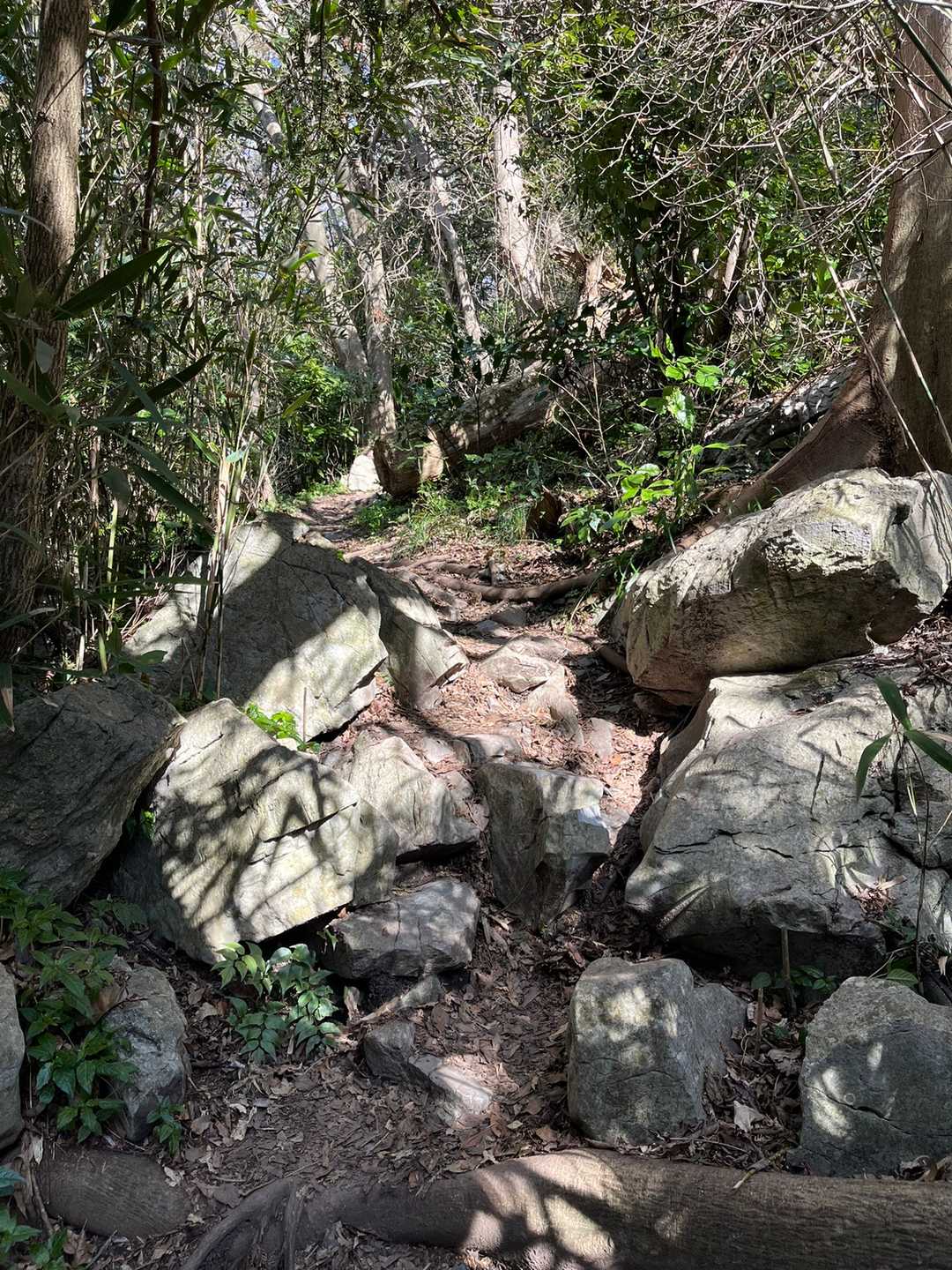 間場登山口-石巻山 往復コースの写真