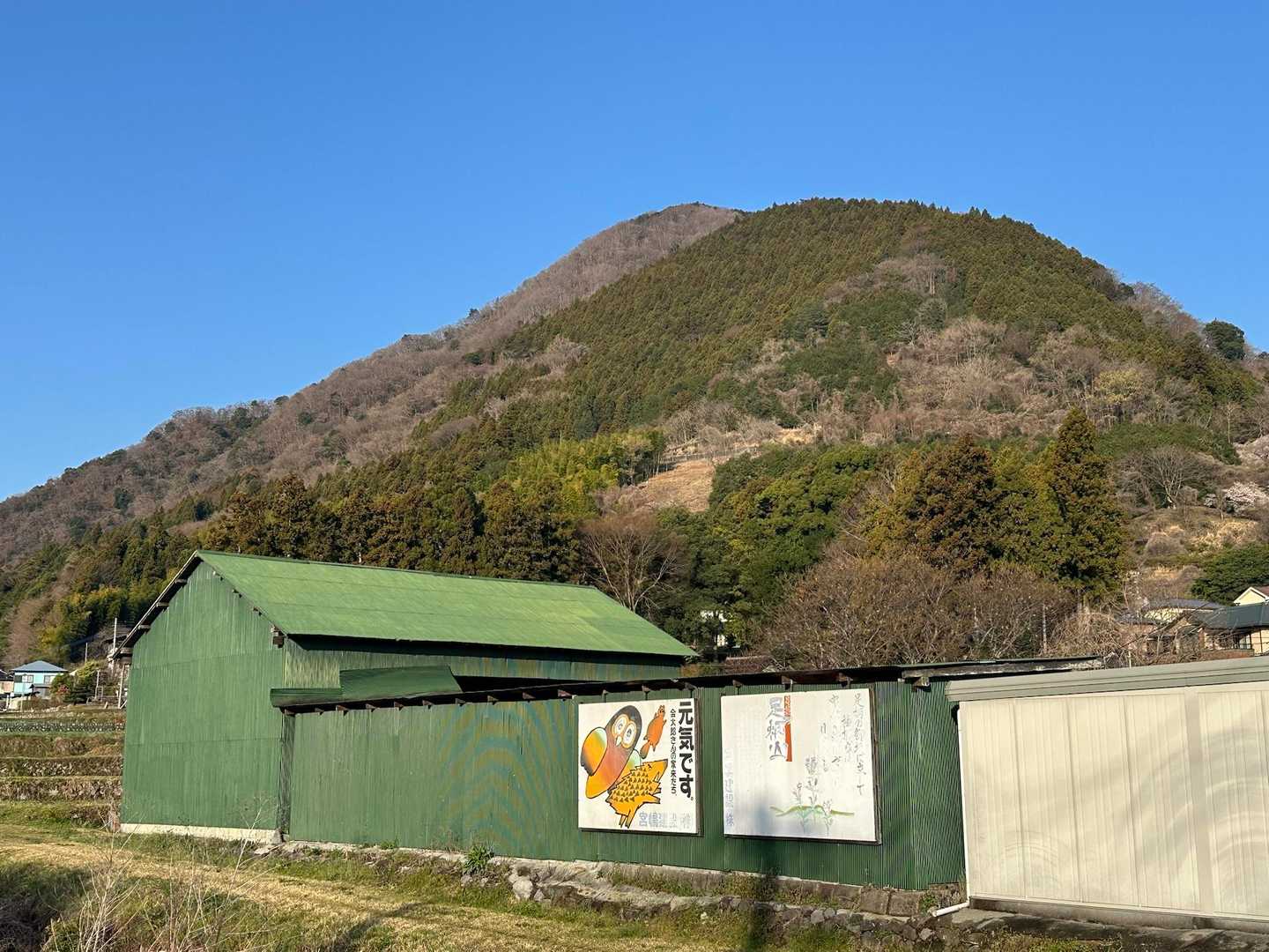 「元気です
金太郎さんの家来たち」
だそうです😊
後ろにちらっと見えてるのが矢倉岳ってことかな？