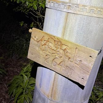 山頂、電柱が一本おっ立っていた🙄