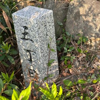 山門の横に五丁目ありました