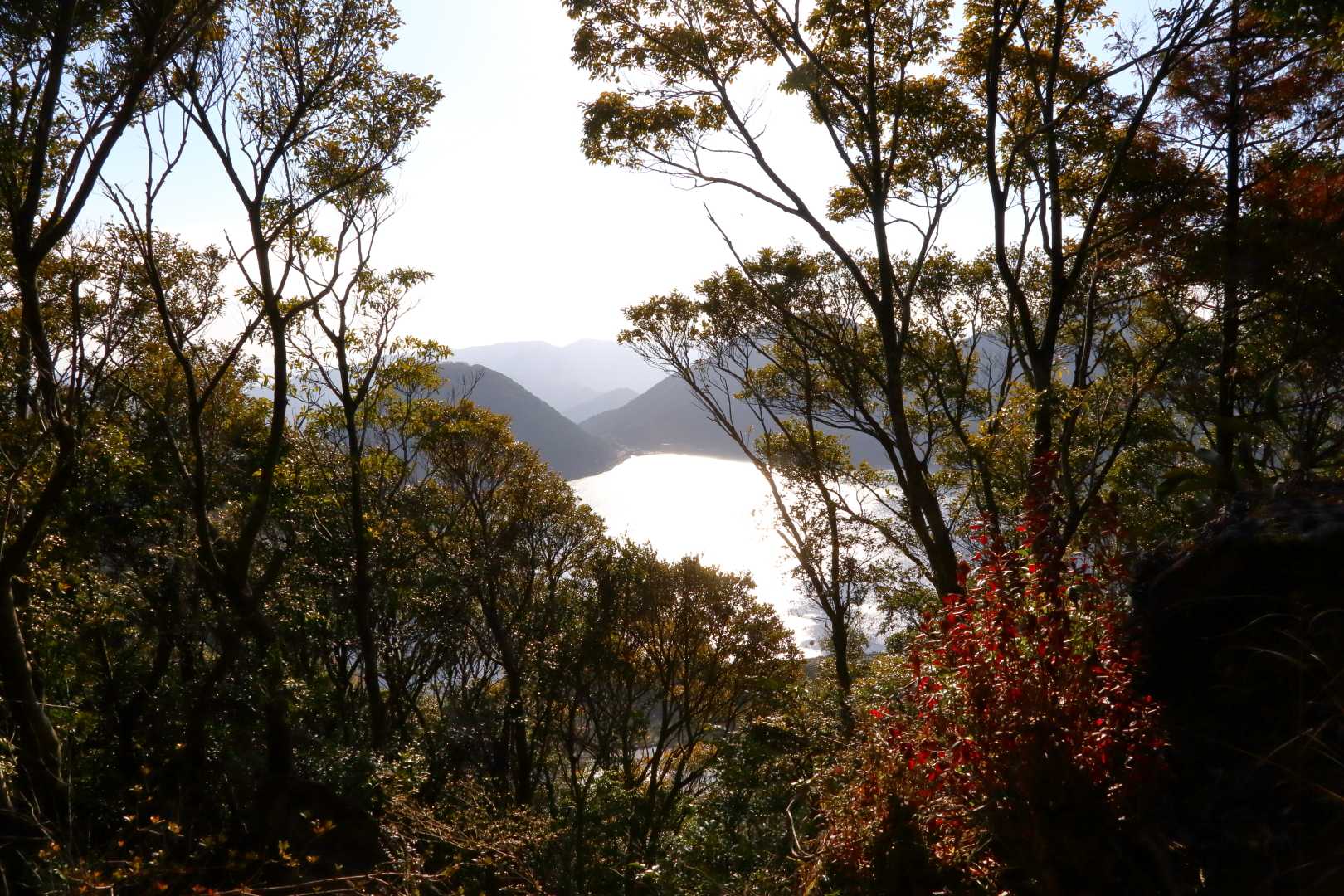 愛宕山入口-舟見岳-舟見岳入口-交蔓山-片城山-飯盛山 周回コースの写真