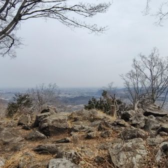 風も無く、春らしい陽気☺️