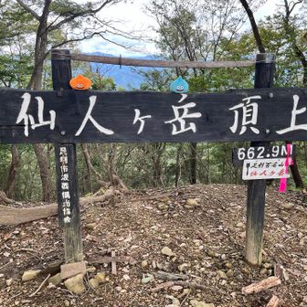 頂上！　展望はない