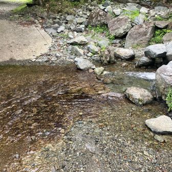 帰りの渡渉に失敗しました😔
非防水のトレランシューズはすぐ染み込みます😅
まあ歩いているうちに乾きますけど🤭