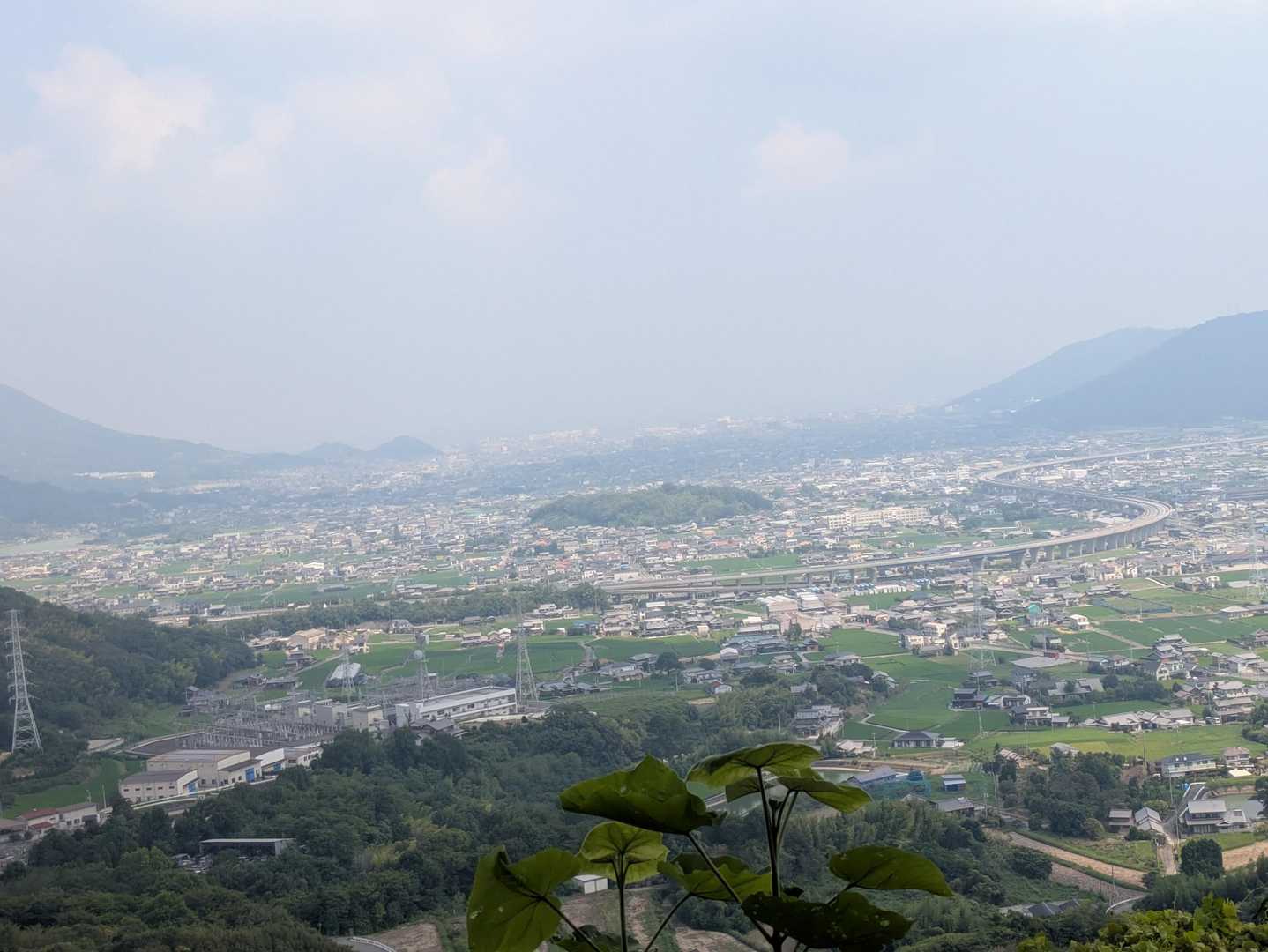 堂山登山道入口-堂山 往復コースの写真
