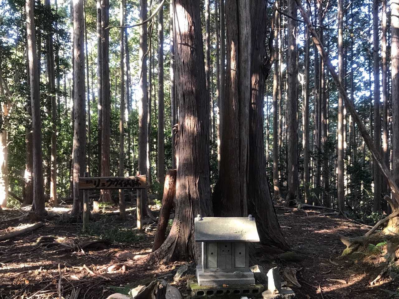 龍谷山山頂