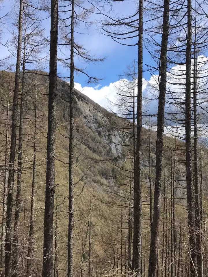 大崖頭山の写真
