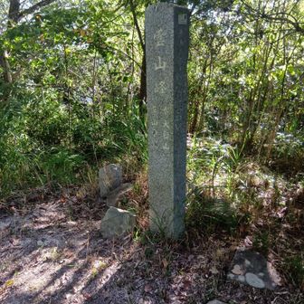 これで登頂回数は二桁…もうソロで来る事は（たぶん）ないかな🤔💦