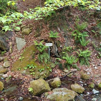 和銅の露天掘りの跡地。