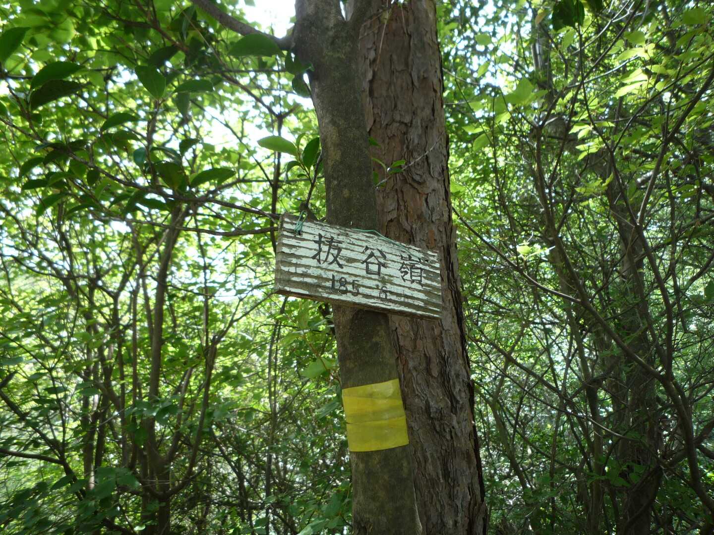 抜谷嶺の写真