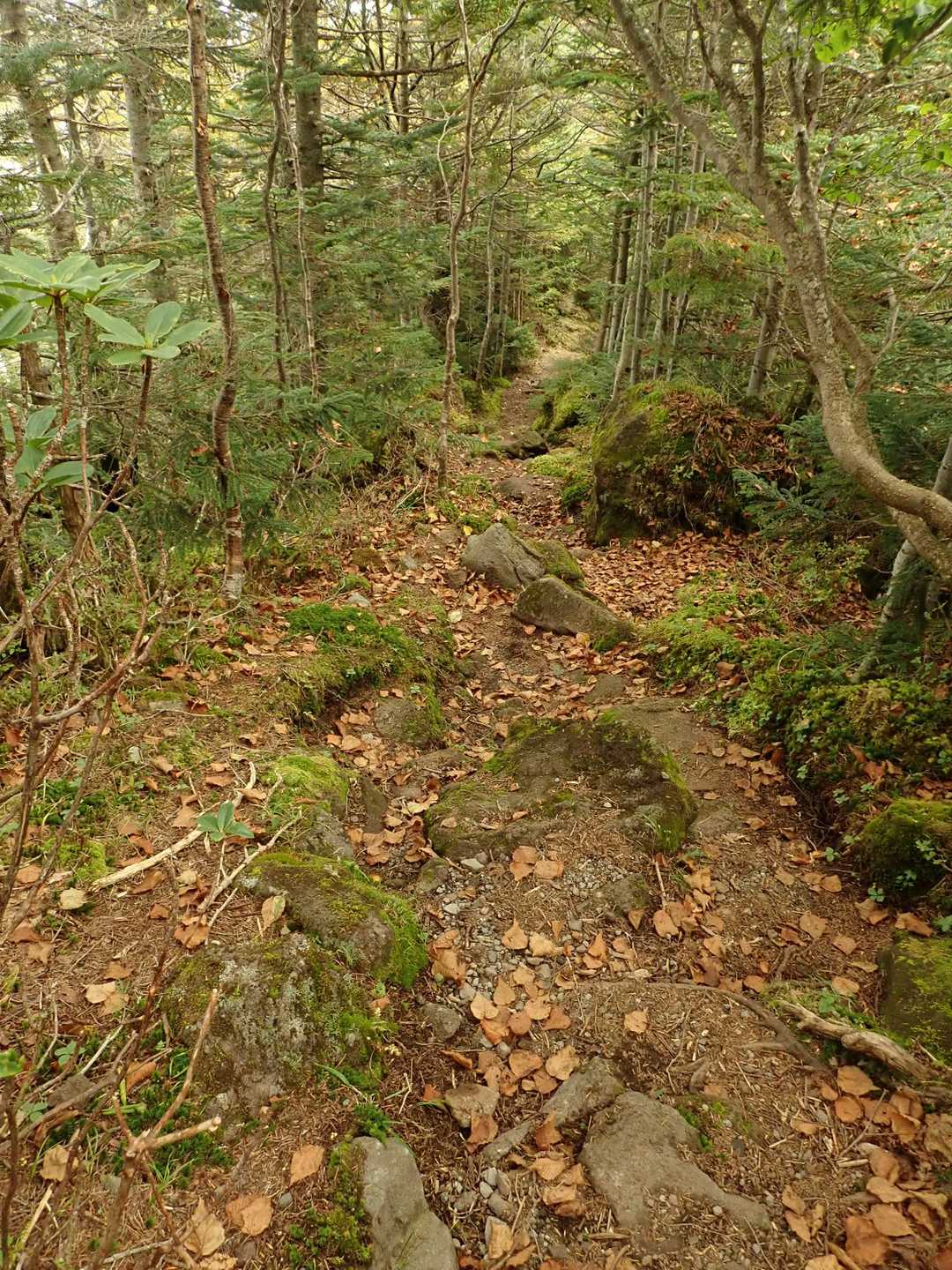大岳に向かう。