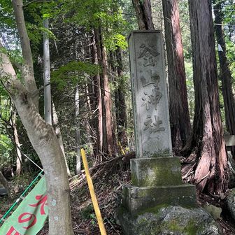 釜山神社に到着