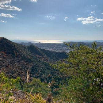 稜線に辿り着くと美しい瀬戸内海に癒されました