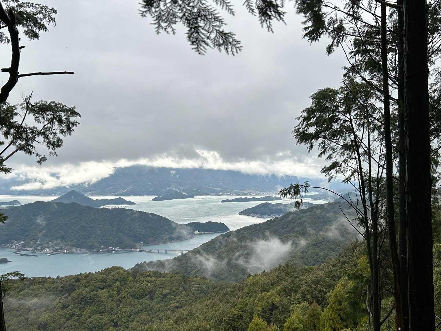 烏峠 往復コースの写真