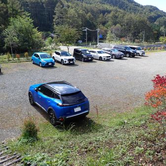 車増えてた