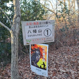 登山道緊急時の連絡ポイント①が八幡山山頂