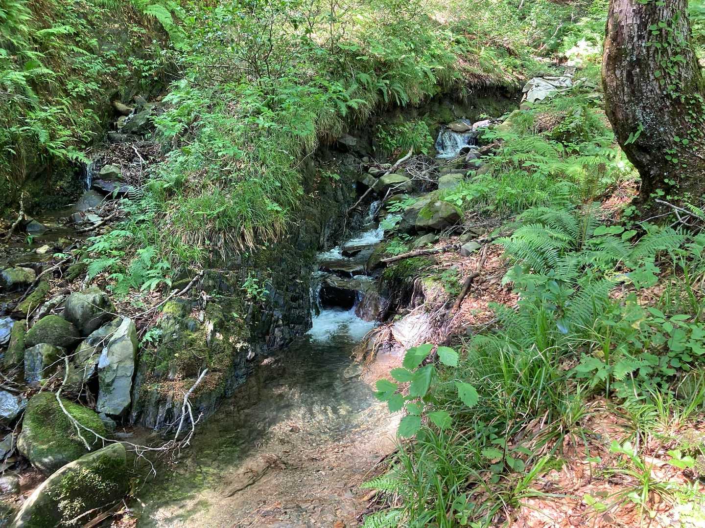 ここで水浴びして生き返りました。
熱中症にはこれだね。