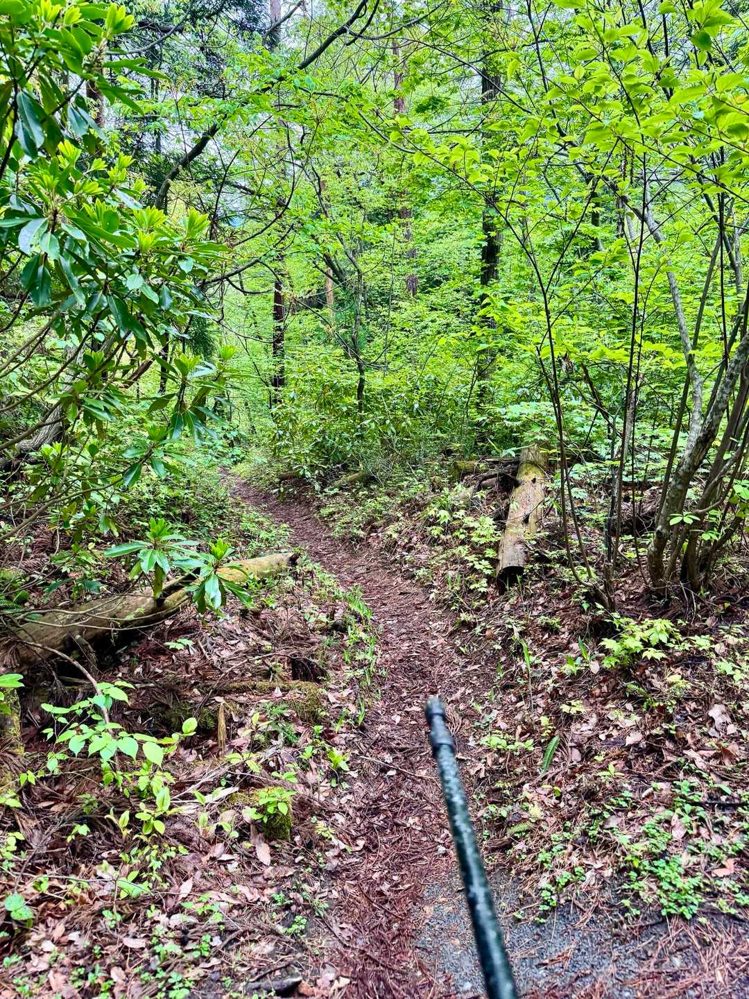 坂本口から下山。

おつかれ山っ!!!