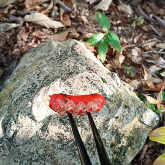 ♪上手に焼けました〜🍖
山頂にて、日本ハムの切れてる赤ウインナーを焼く。
HP回復