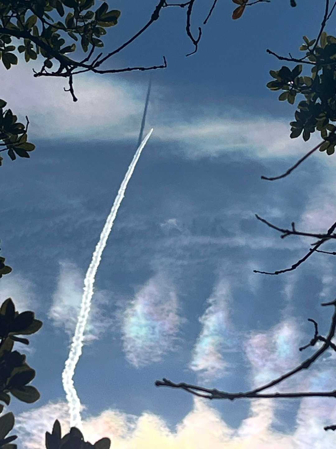 八郎山 往復コースの写真