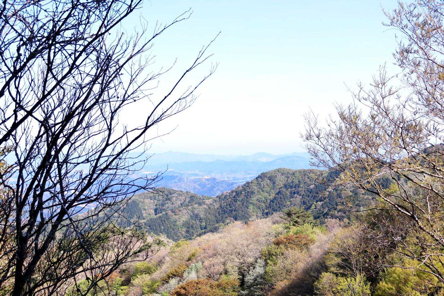 松阪の街良く見えます。
ん？松阪なのかな？