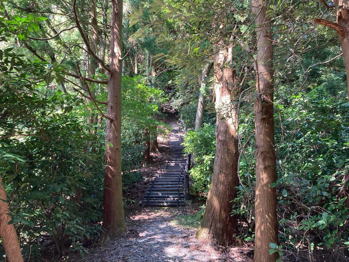 成田山登山口-湯川山 往復コースの写真