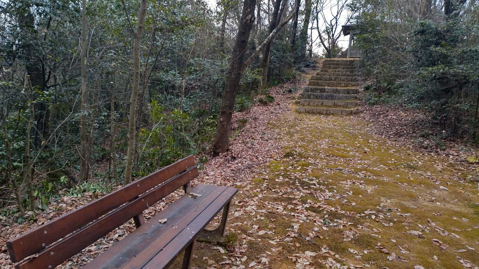 ベンチが新しくなってる❓️