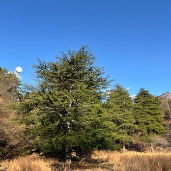 快晴のヤング広場
暖かい☺️