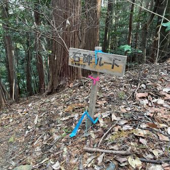 石碑ルートで下山。