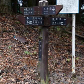 明神峠5.4kmか～まだまだ遠いね～